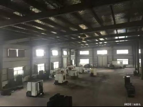 芜湖市繁昌区有一座大型工厂第三次拍卖,被人以439.5万元竞得