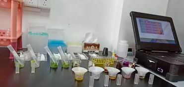 2019年4月18日上午食品快速检测结果公布（测试座）