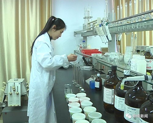 县综合检验检测中心开展节前农产品质量检测专项行动，筑牢“舌尖安全”防线